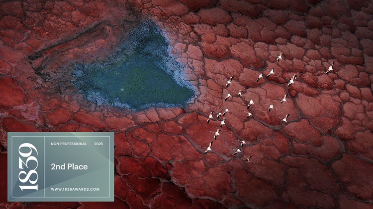 Xuejun Long | 2025 Color Photo Contest | 2nd Place Winner | Non-Professional