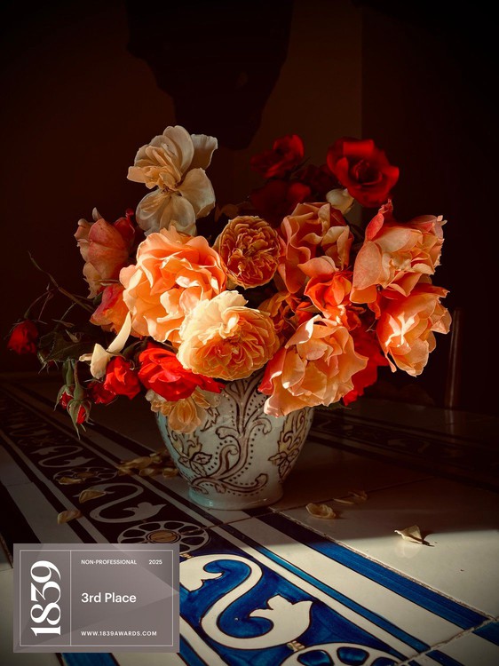 Trina O’Hara | 2025 Color Photo Contest | 3rd Place Winner | Non-Professional