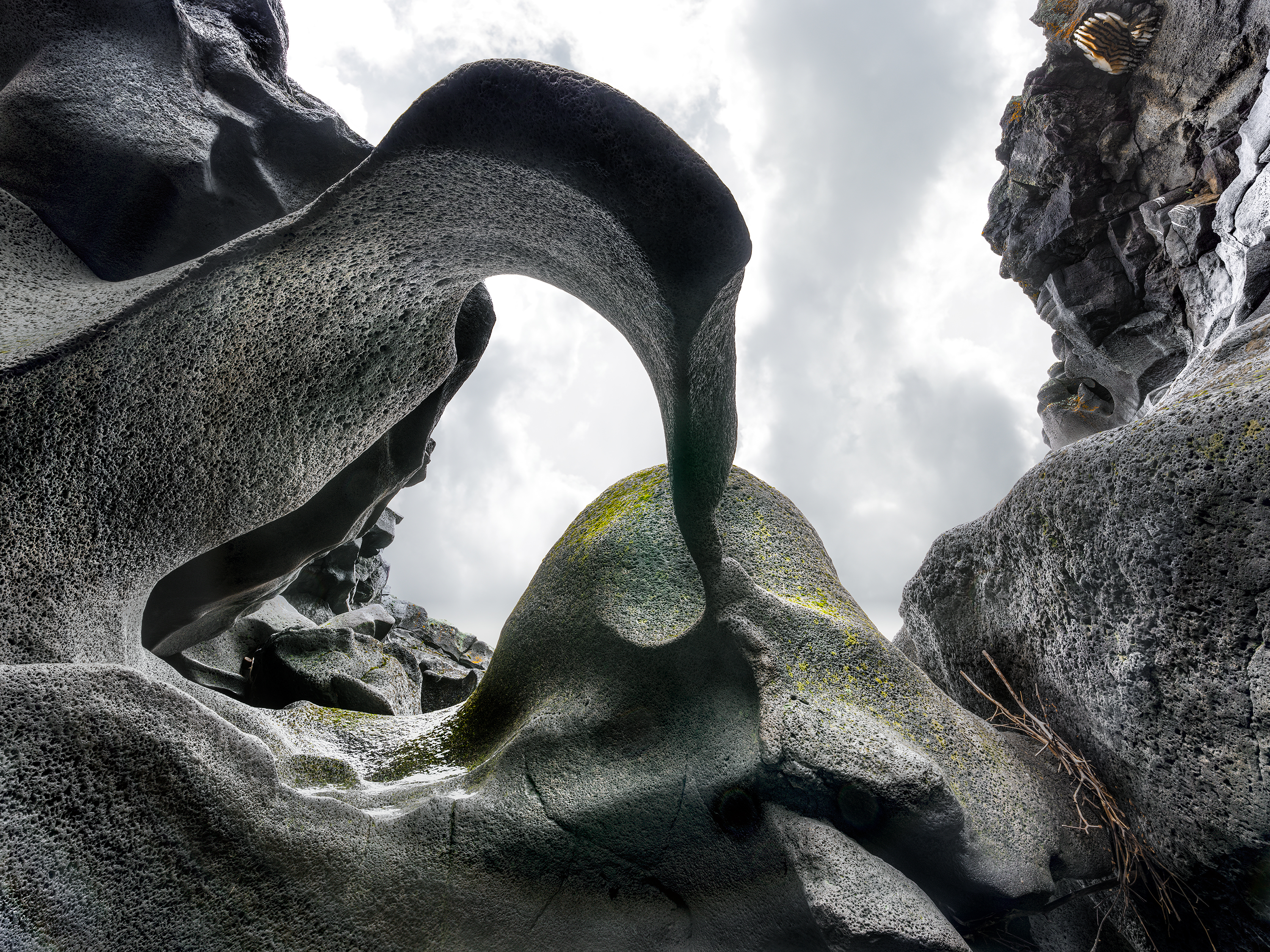 1839 Awards | Leland Howard | Nominee (Nature)